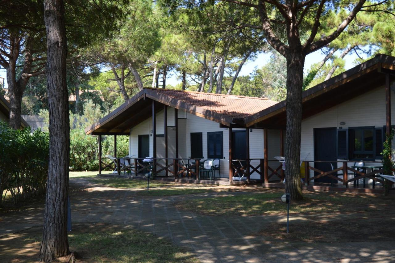 Two-Bedroom Bungalow,1559612077:JPEG