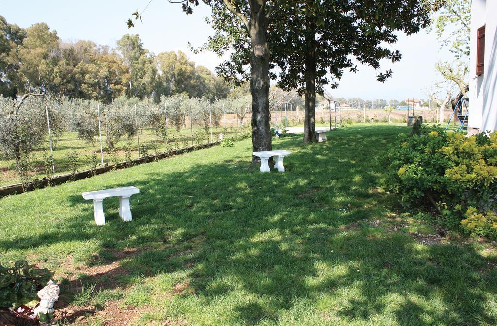 Camera King con Vista Giardino