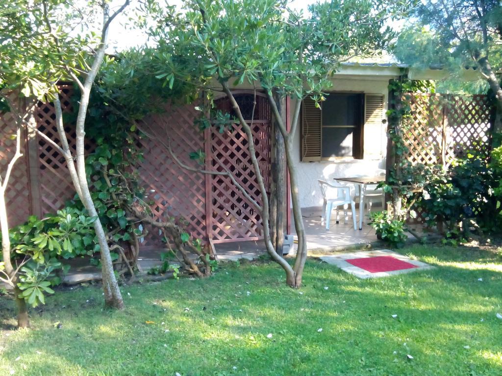 Monolocale con Vista Giardino