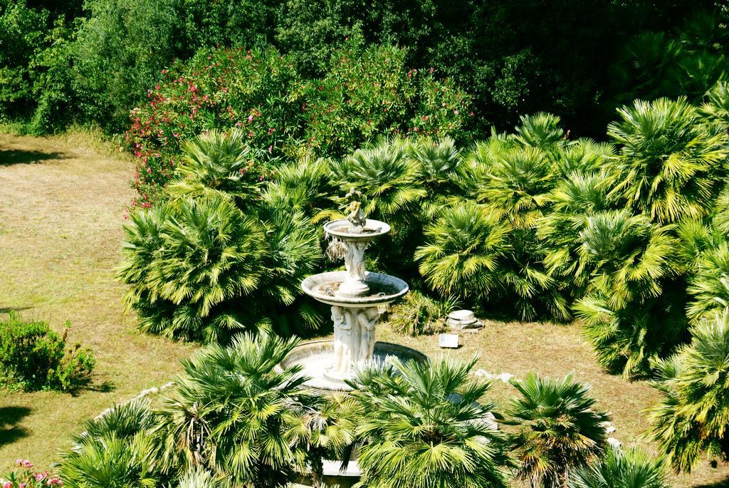 Standard Double or Twin Room Garden level,265519153:JPEG