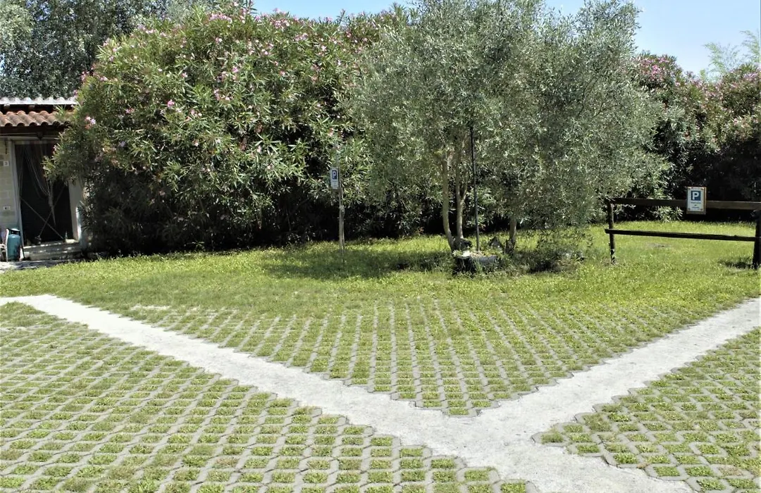 Villaggio Naif Lavanda-1