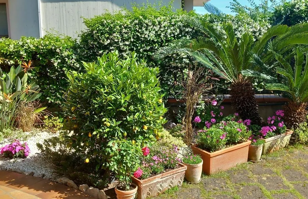 B&B Villa Noemi-1