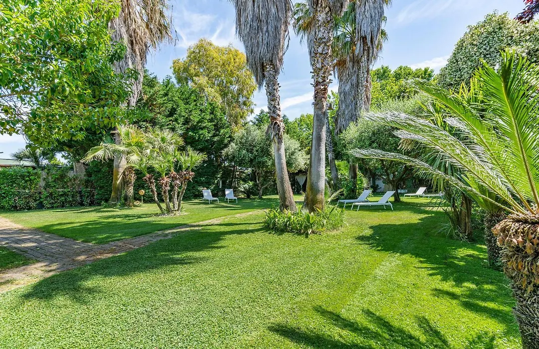 Pet Friendly Home In Fiumicino-1
