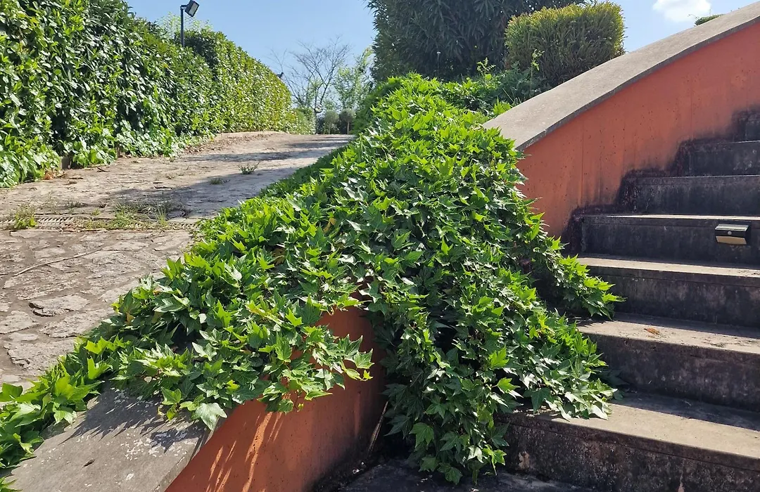 Villa Annamaria-1