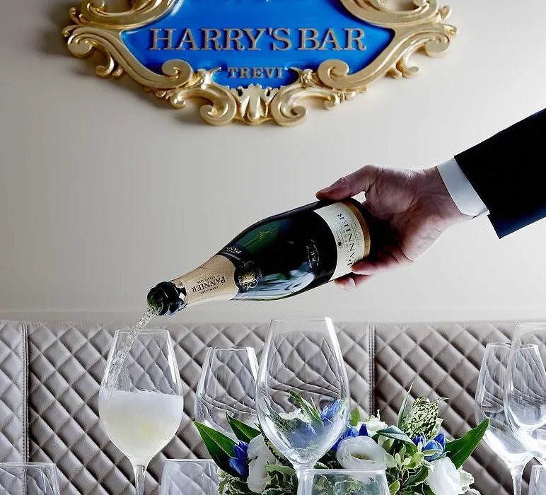 Harry'S Bar Trevi Hotel & Restaurant-1