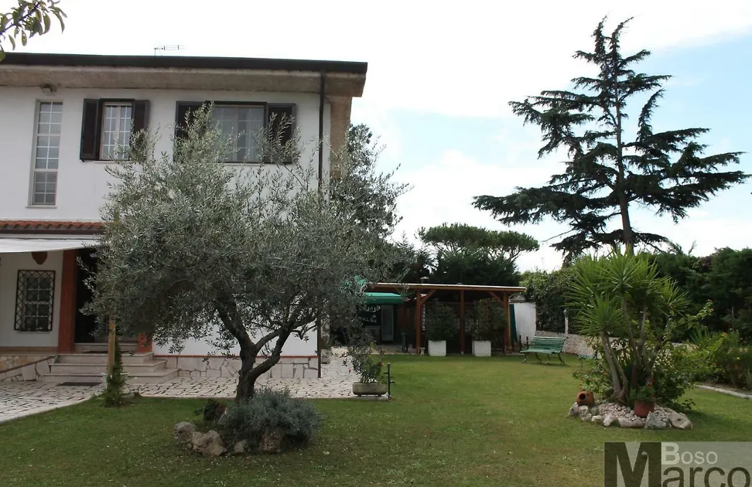 Il Grifo-1