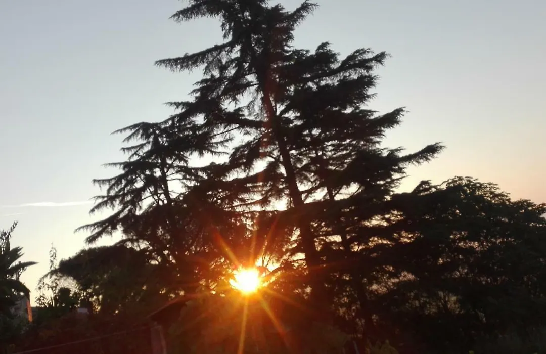 A1 Girasole B&B-1