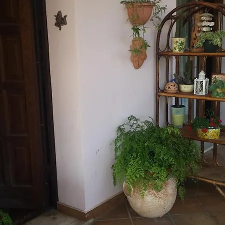 B&B Villa Noemi-2