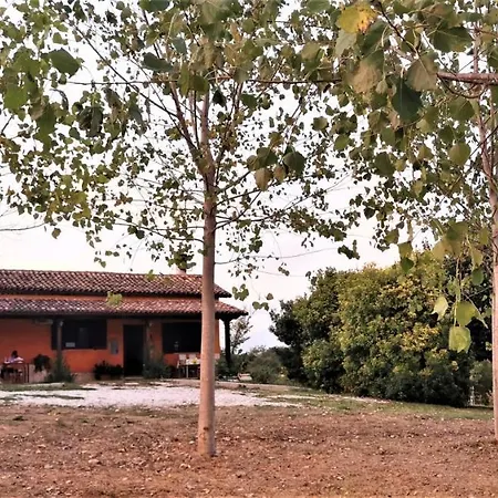 Il girasole b&b-3