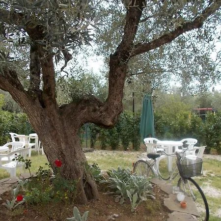 Casa Degli Ulivi-2