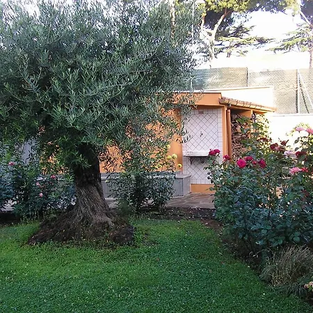 Al Vecchio Olivo-2