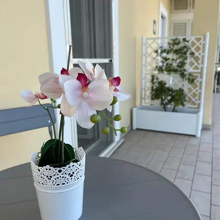 Bed&Breakfast del viaggiatore-3