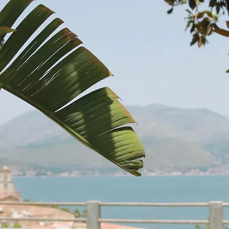 Clori Gaeta-3