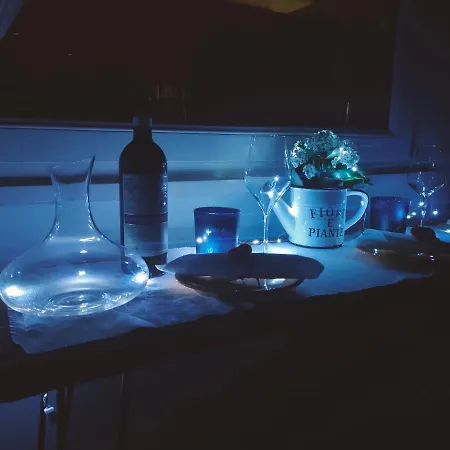 Fly B&B-2