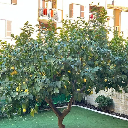Casa Paestum. Your wonderful garden in Rome-3