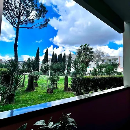 Aurelia Green Suite-2