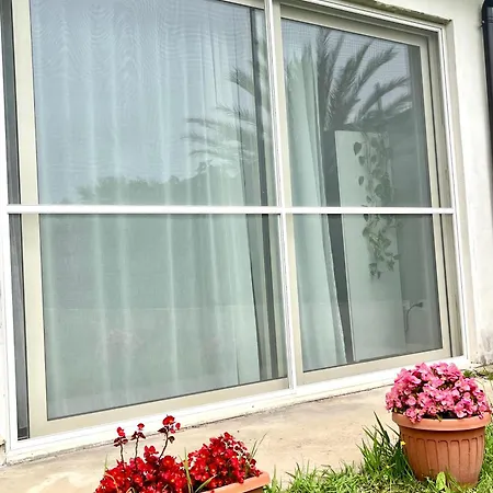 B&B Le Palme-2