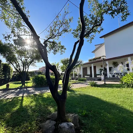 Giardino Degli Aranci B&B-2