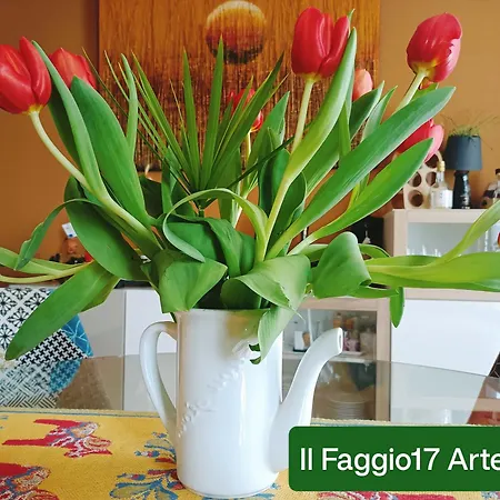 Il Faggio 17 B&B Artena-2