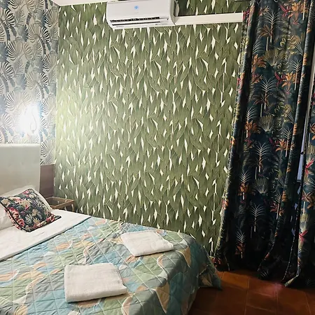 Magenta Roma House-3