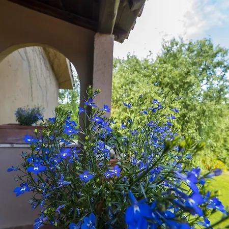 B&B Acque Lucenti-2