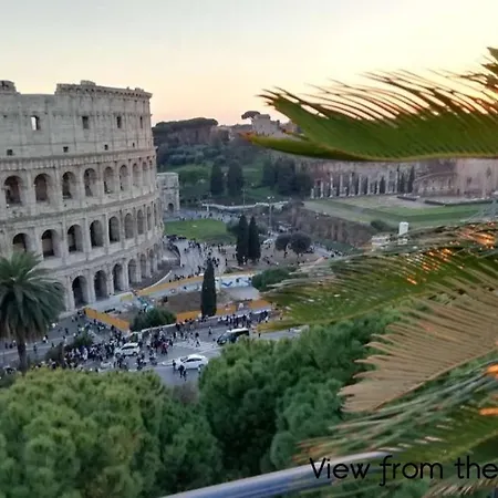 Colosseum Palace Star-3