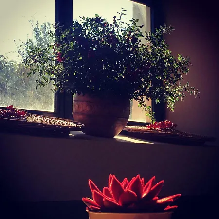 Casale Appio-3