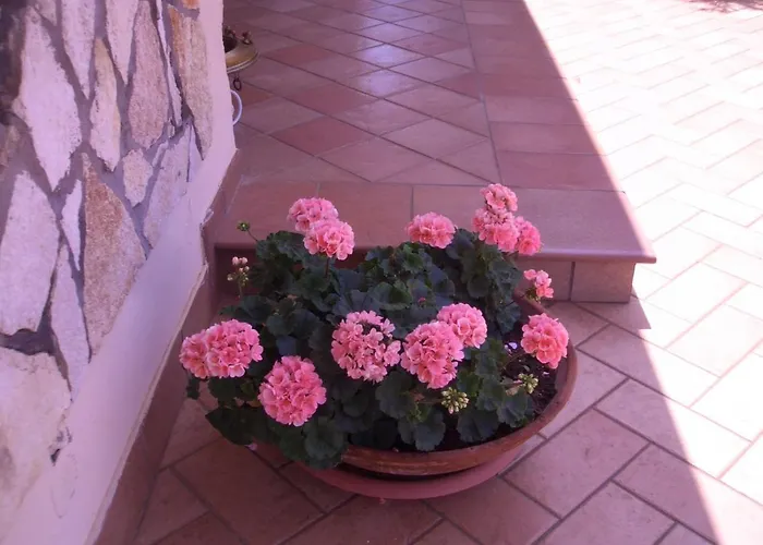 Il Glicine di Carmen Villa Fondi