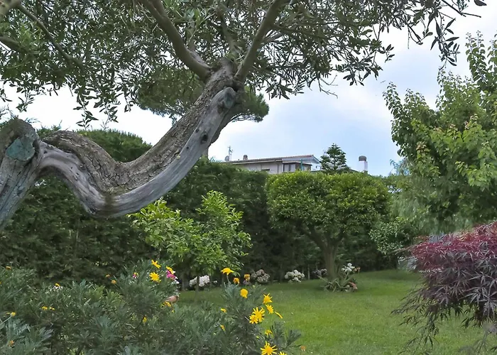 Bed and Breakfast A Casa Di Titty à Fiumicino acceptant les animaux