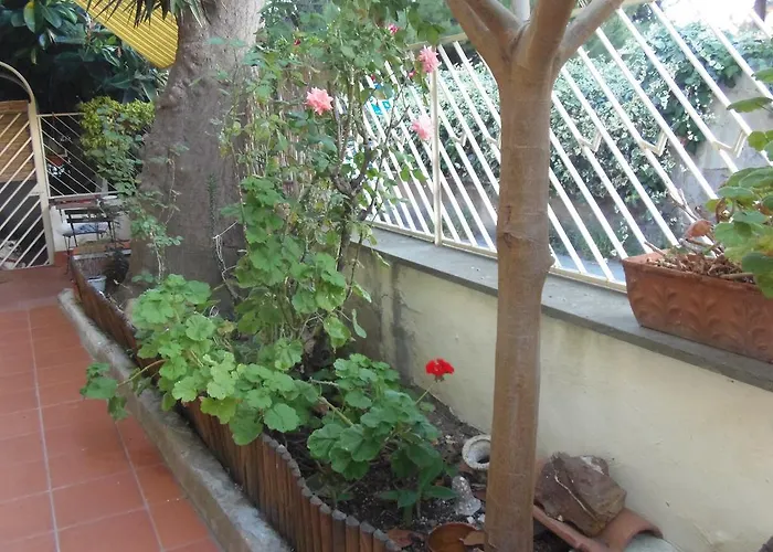 Civitavecchia hotels near Terme Taurine