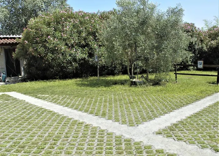 Villaggio Naif Lavanda Monterotondo 