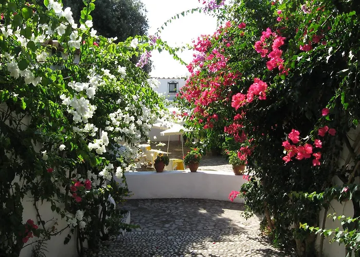 Hotels in San Felice Circeo