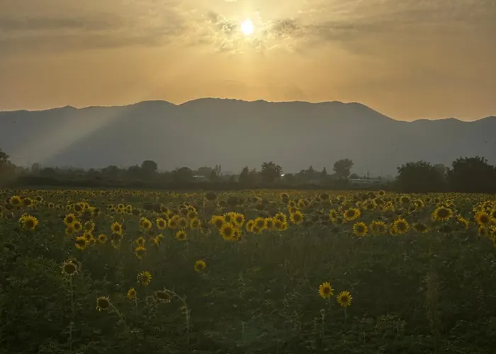 Bed and Breakfast Il Casale dei Nonni Rieti