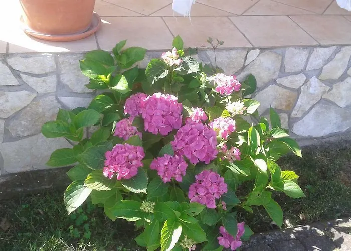 B&B Rolu Formello