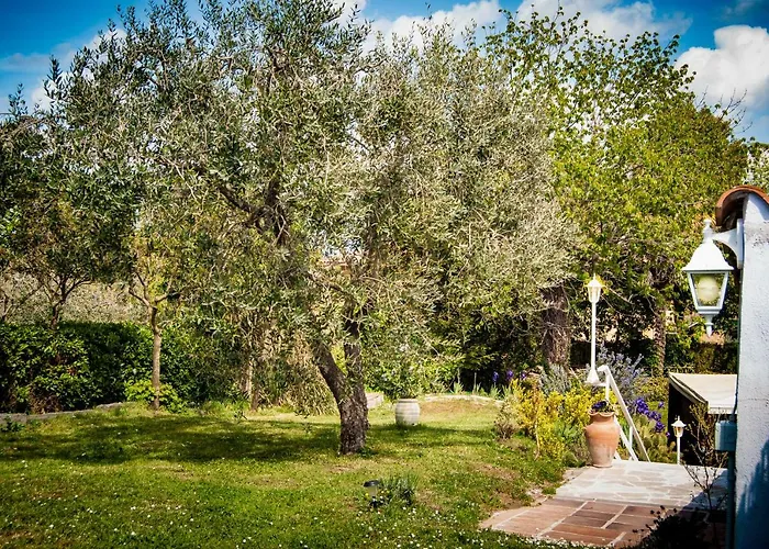 Bed and Breakfast Amarcord Bagnoregio