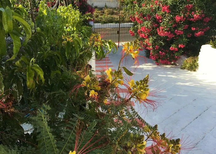 Villa La Casa Rosa Ponza privato