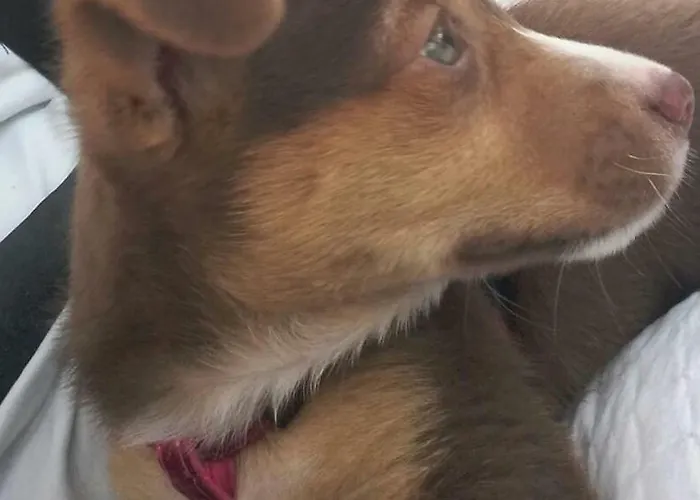 Anna VI Guest Home Rzym