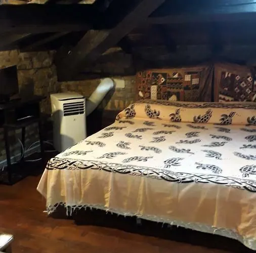 B&Bgarbatella Roma admite animales